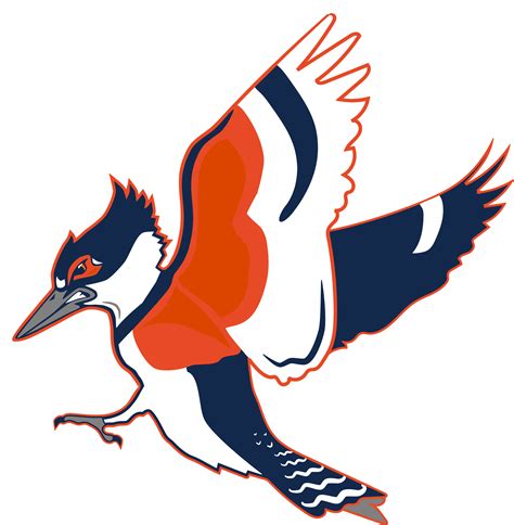 Kingfishers and Illinois Athletics: A Perfect Match